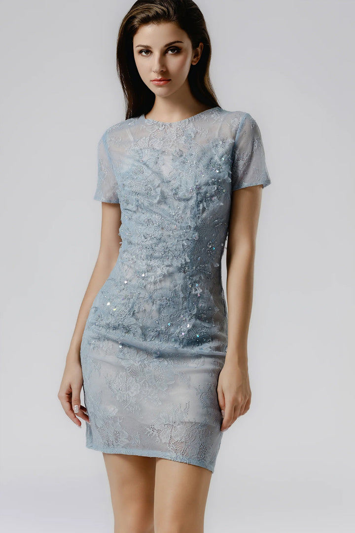 LACE BEAD EMBROIDERED SLIM DRESS